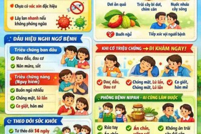 TRƯỜNG MẦM NON VÂN GIANG TUYÊN TRUYỀN PHÒNG, CHỐNG VIRUS NIPAH