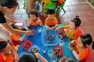 HOẠT ĐỘNG TRẢI NGHIỆM CỦA CÁC BÉ